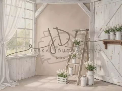 Tulipány bílé 24 Tulipány bílé 24