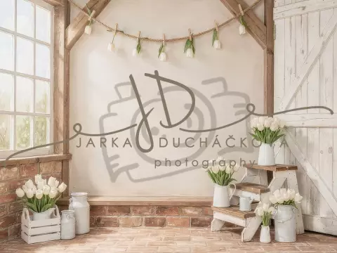 Tulipány bílé 7 Tulipány bílé 7