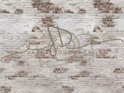Zeď 99 Zeď 99