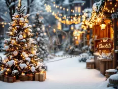 Fotopozadí - Vánoční večerní venkovní scéna 1