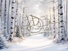 Fotopozadí - Cesta sněhová 10