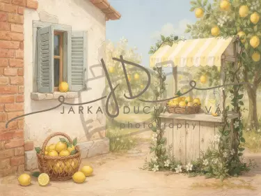 Citrusový sad 10