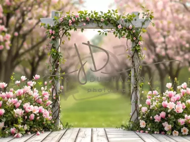 Fotopozadí - Jarní brána 10