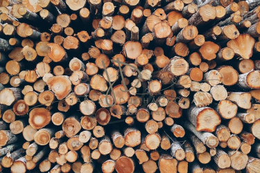 JD PHOTOGRAPHY  Fotopozadí - DŘEVO-KLÁDY 1