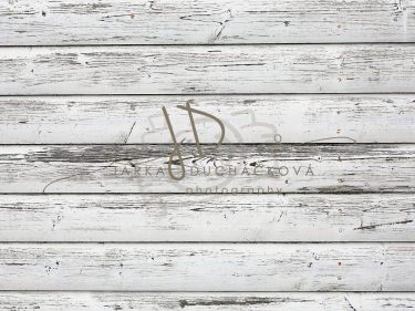 JD PHOTOGRAPHY  Fotopozadí - PODLAHA 473