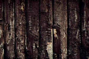 JD PHOTOGRAPHY  Fotopozadí - PODLAHA 106