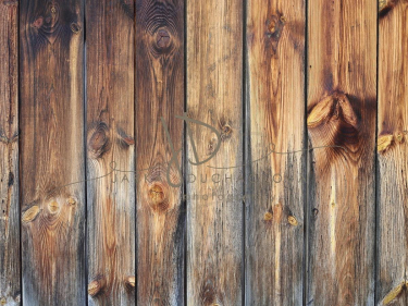 JD PHOTOGRAPHY  Fotopozadí - PODLAHA 445