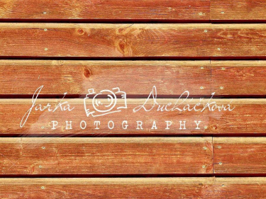 JD PHOTOGRAPHY  Fotopozadí - PODLAHA 350