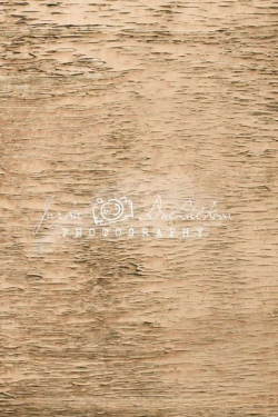 JD PHOTOGRAPHY  Fotopozadí - DŘEVO 016