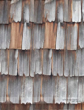 JD PHOTOGRAPHY  Fotopozadí - DOŠKY velké