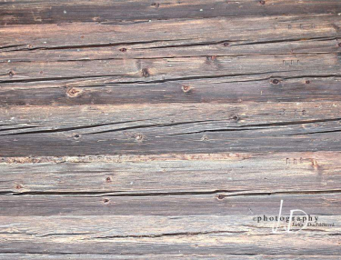 JD PHOTOGRAPHY  Fotopozadí - PODLAHA 216