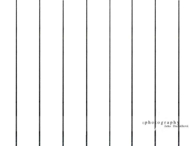 JD PHOTOGRAPHY  Fotopozadí - PODLAHA 195