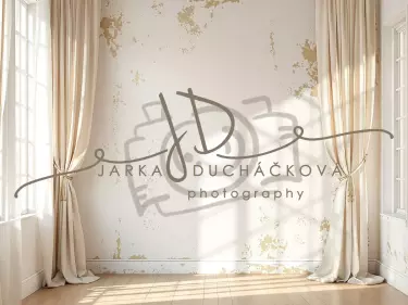 Fotopozadí - Stěna s okny 11