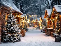 Fotopozadí - Vánoční večerní venkovní scéna 11