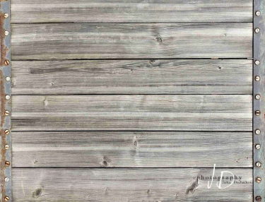 JD PHOTOGRAPHY  Fotopozadí - PODLAHA 119