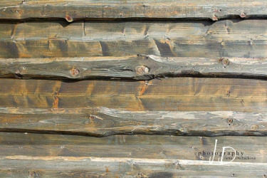 JD PHOTOGRAPHY  Fotopozadí - PODLAHA 026