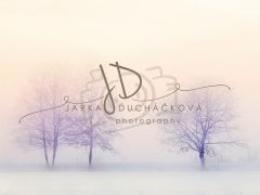 JD PHOTOGRAPHY  Fotopozadí - WINTER 12