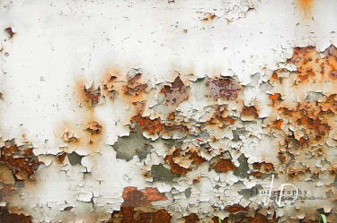 JD PHOTOGRAPHY  Fotopozadí - REZ stěna 7