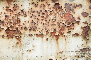 JD PHOTOGRAPHY  Fotopozadí - REZ stěna 8