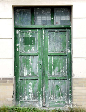 JD PHOTOGRAPHY  Fotopozadí - DVEŘE 9 - kompletní zelené