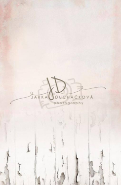 JD PHOTOGRAPHY  Fotopozadí - SPOJENÉ přechodové 45