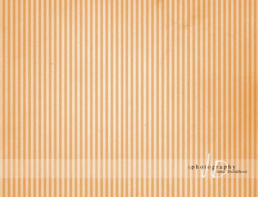 JD PHOTOGRAPHY  Fotopozadí - PROUŽKY 4