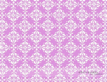 JD PHOTOGRAPHY  Fotopozadí 44 TAPETA