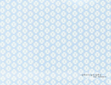 JD PHOTOGRAPHY  Fotopozadí 34 TAPETA