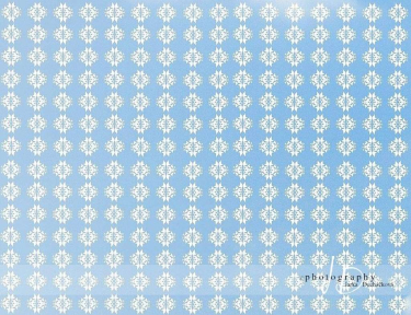 JD PHOTOGRAPHY  Fotopozadí 27 TAPETA