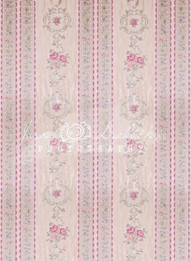 JD PHOTOGRAPHY  Fotopozadí - TAPETA ze zámku 17