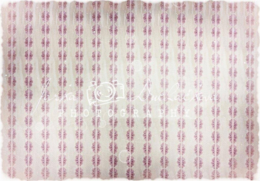 JD PHOTOGRAPHY  Fotopozadí - TAPETA ze zámku 5 retro