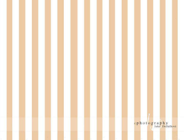 JD PHOTOGRAPHY  Fotopozadí - PRUHY 3