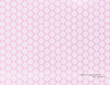 JD PHOTOGRAPHY  Fotopozadí 33 TAPETA