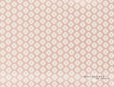 JD PHOTOGRAPHY  Fotopozadí 32 TAPETA