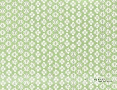 JD PHOTOGRAPHY  Fotopozadí 31 TAPETA