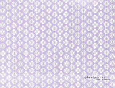 JD PHOTOGRAPHY  Fotopozadí 30 TAPETA