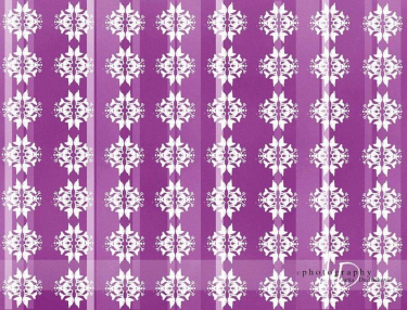 JD PHOTOGRAPHY  Fotopozadí 22 TAPETA