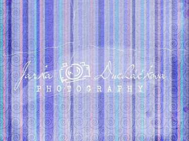 JD PHOTOGRAPHY  Fotopozadí - DESIGN 556