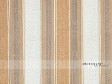 JD PHOTOGRAPHY  Fotopozadí - ZÁMECKÁ TAPETA 1