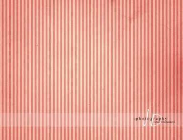 JD PHOTOGRAPHY  Fotopozadí - PROUŽKY 2