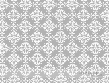 JD PHOTOGRAPHY  Fotopozadí 43 TAPETA