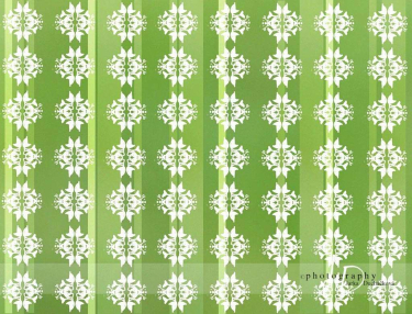 JD PHOTOGRAPHY  Fotopozadí -  20 TAPETA