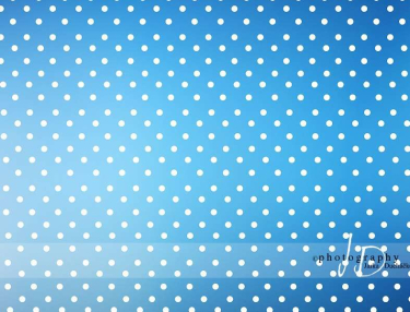 JD PHOTOGRAPHY  Fotopozadí - PUNTÍKY 81