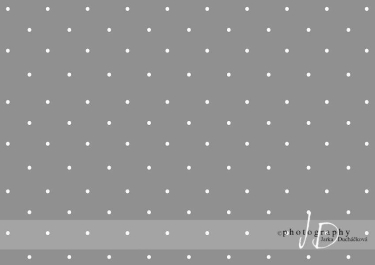 JD PHOTOGRAPHY  Fotopozadí - PUNTÍKY 61