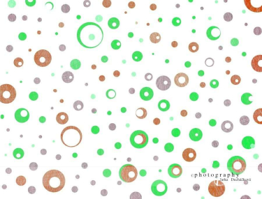 JD PHOTOGRAPHY  Fotopozadí - BAREVNÉ PUNTÍKY 3