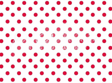 JD PHOTOGRAPHY  Fotopozadí - PUNTÍKY 91