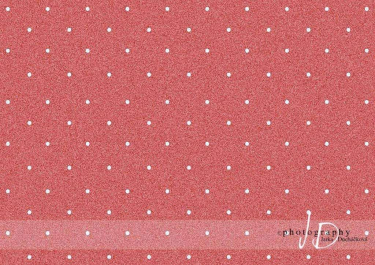 JD PHOTOGRAPHY  Fotopozadí - PUNTÍKY 78