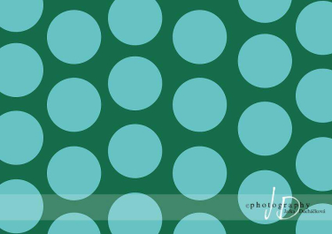 JD PHOTOGRAPHY  Fotopozadí - PUNTÍKY 74