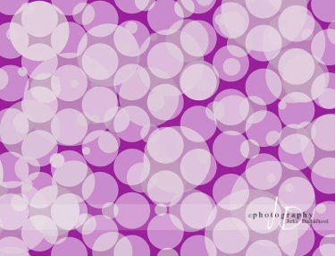 JD PHOTOGRAPHY  Fotopozadí - PUNTÍKY 34