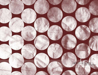 JD PHOTOGRAPHY  Fotopozadí - PUNTÍKY 24